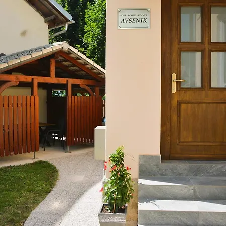 Avsenik * Begunje